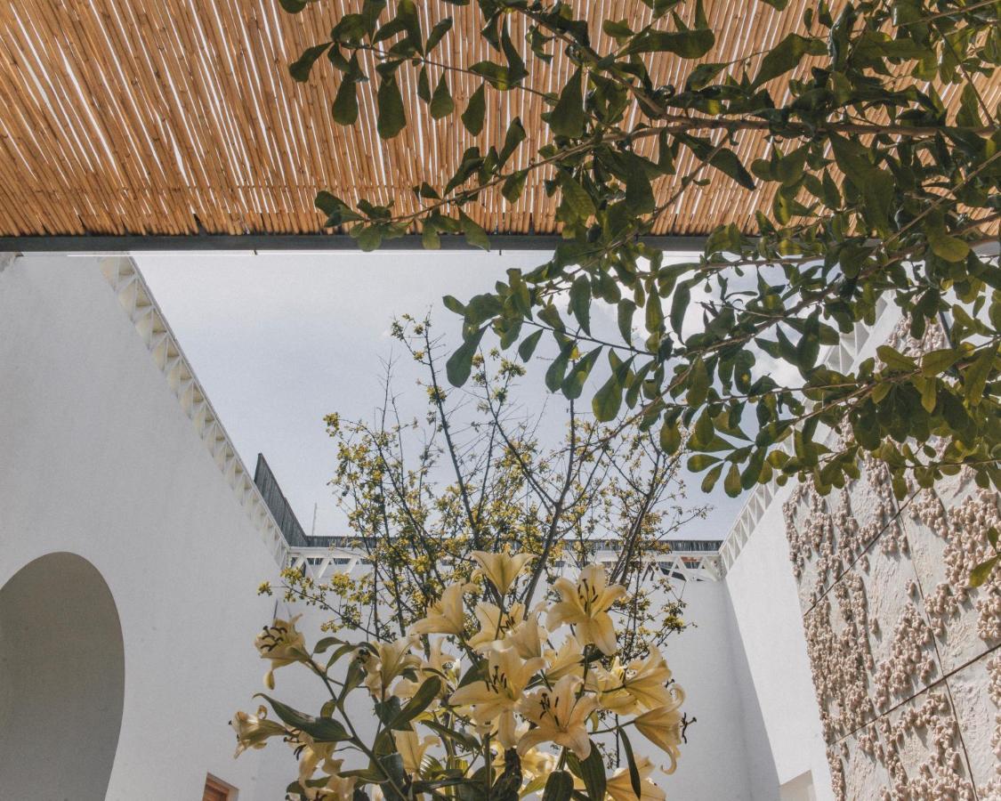 Casa Carmen Morelos Oaxaca Luaran gambar